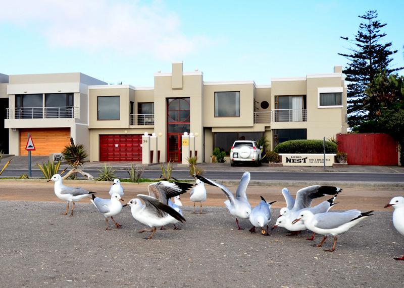 Kleines Nest Bed And Breakfast ウォルビスベイ エクステリア 写真